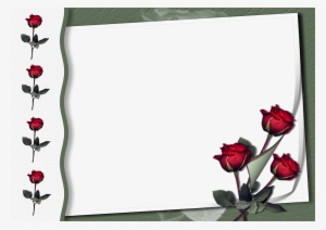 Rose Frames #3035677