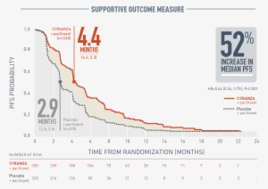 Rainbow Pfs Chart - Rainbow Shops #3037031