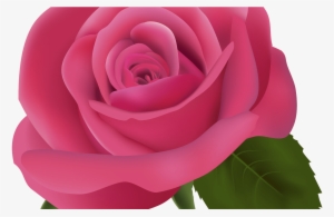 19 Rose Image Library Library Transparent Background - Pink Flower Transparent Background #3038940