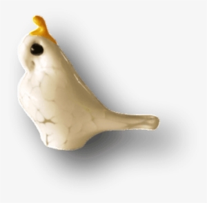 James Dodson ~ Cockatoo - Gallery Salamanca #3039101