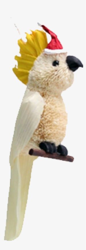 95 Previous Next - Sulphur-crested Cockatoo #3039164