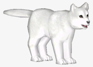 Arctic Fox - Arctic Fox Transparent Png #3039328