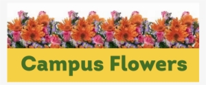 Tempe, Az Florist - Campus Flowers #3039361