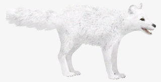 Arctic Fox Winter - Arctic Fox Zt2 #3039362