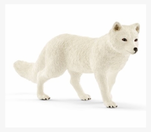 Arctic Fox #3039376