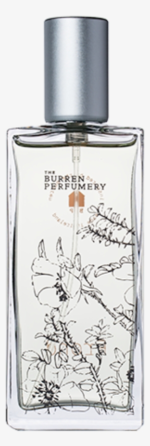 Frond - Christmas Day #3039546