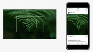 Down Scaling - Iphone #3039674