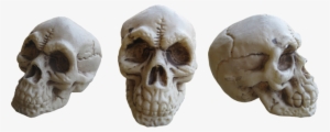 Skull-093 - Portable Network Graphics #3039923