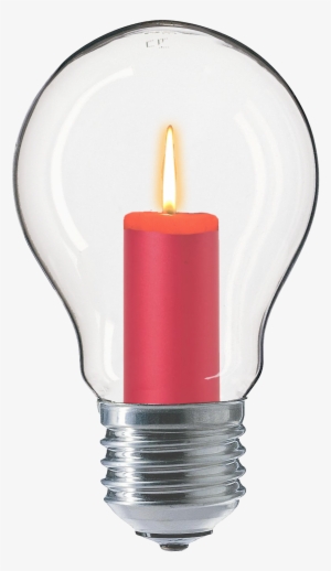 Incandescent Light Bulb #3041146