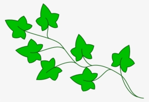 Ivy Vine Clip Art At Clker Com Vector Clip Art Online - Clip Art #3041253