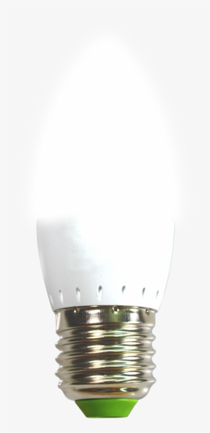 Incandescent Light Bulb #3041298
