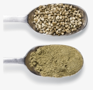 Flavor And Texture Enhancement - Ingredients In Spoon Png #3041472