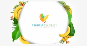 Slide-00 - Paradise Ingredients #3041611