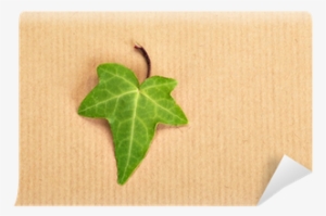 Decorative Ivy Leaf On A Background Of A Wrapping Paper - Paper #3041655