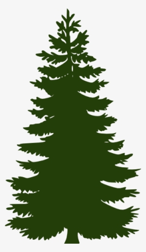 Dark Green Pine Tree - Pine Tree Vector Png #3042184