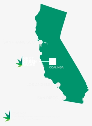 Next Green Wave Is Well Positioned To Become A Key - Next Green Wave Holdings #3042329