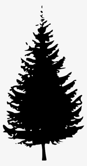 Dark Christmas Tree - Pine Tree Clipart Black And White #3042598