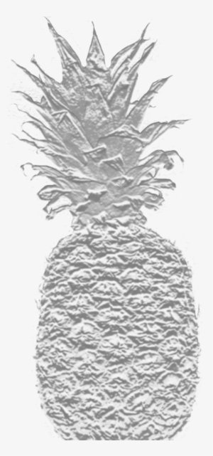 Pineapple Logo - Logo #3044675