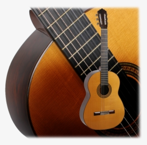 Robert's Reputation For Fine Guitars And Building Perfection - Acoustic Guitar #3046421