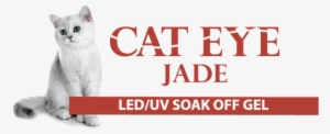 Cat Eyee Jade - Cat Eye Nail Polish Cre8tion #3047745