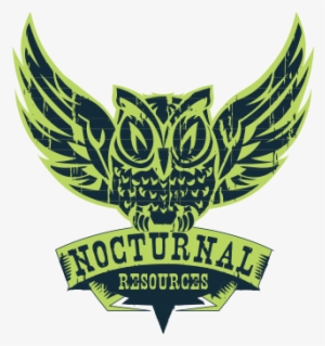 Nocturnal #3047768
