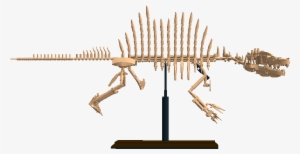 The Relic Collection - Skeleton #3047885