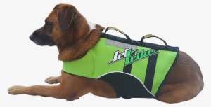 Image - Dog #3048116