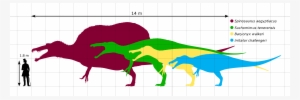 Spinosauridae Size Diagram By Paleogeek - Spinosauridae - Free ...