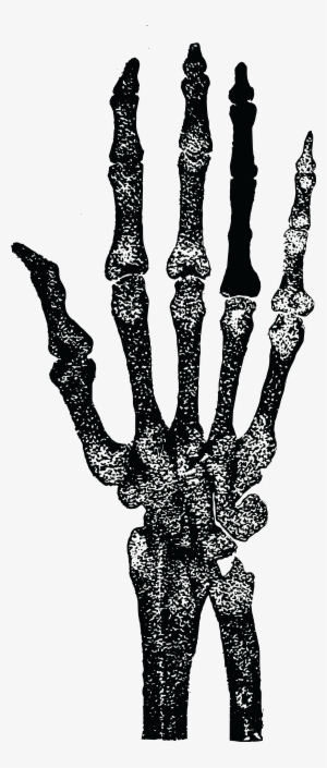 , , - Cafepress Iphone 7 Plus Tough Case #3048395