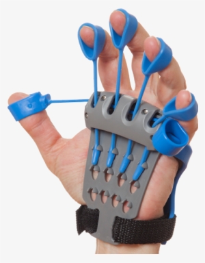 Enter Your Keyword - Hand Exerciser Xtensor Xcb100 #3048775