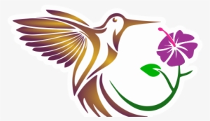 Aves Exóticas De Colombia - Aves Exoticas De Colombia #3049756