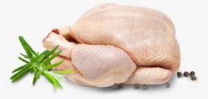 Nuestros Productos - Re Nightmare #3049810