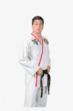 Terry Pegram - Peck's Taekwondo America #3049811