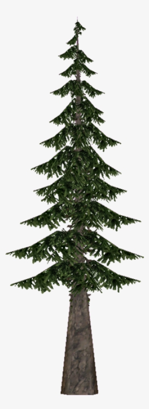 Cookpine Aves - Pre-lit Tree #3049878