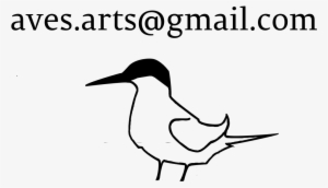 Contacts - Email #3050059