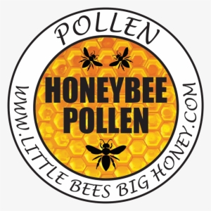 Sale - Newfoundland Screech In Certificate #3051437