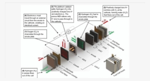 Layout And Operation Of A Typical Pem Fuel Cell Stack - Fuel Cell Stack Electron #3051520