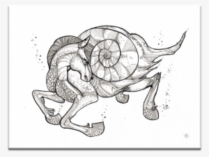 Sea Horse - Sea Horse Wall Art Framing / Size: Canvas - 41 X 51cm #3052166