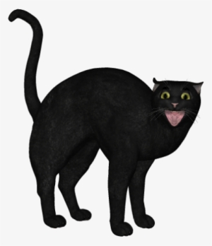 Blackcat - Tennessee #3052650