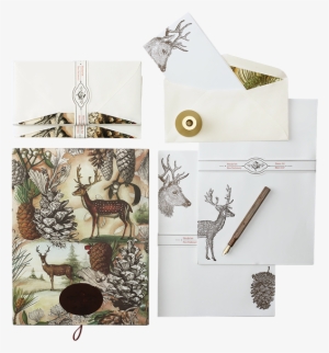 Deer In The Forest - Reindeer #3053114