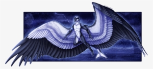 Archangel Mystic - Anthro Orca #3053383