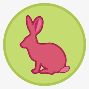 Desert Buddies - Organism #3053971