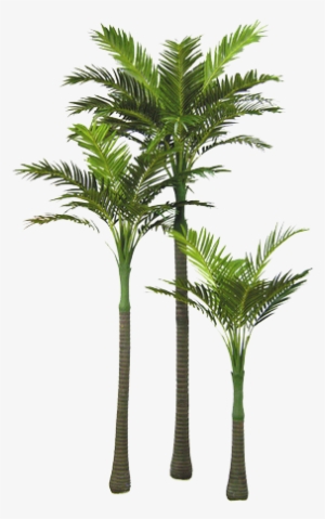 265 Images About Png On We Heart It #3054024