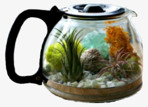 Sckitchenware Sticker - Terrarium Indir #3054071