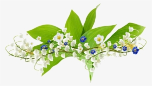 Publicat De Eu Ciresica La - Barres De Séparations Muguet #3054994