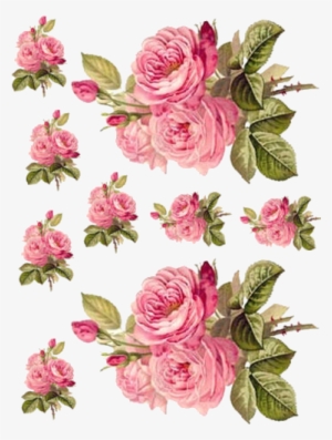 83 Decoupage Paper, Decoupage Vintage, Shabby Chic - Pink Teapot Return Address Labels #3055046