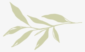 Jen Bij New Divider 01 - Portable Network Graphics #3055139