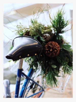 Flowers - Photography #3056316