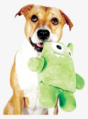 The Toy Your Dog Can Destroy Over And Over Againtm - Dog Toy #3056676