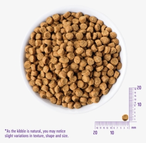 Complete Health Toy Breed - Pet Food #3057024